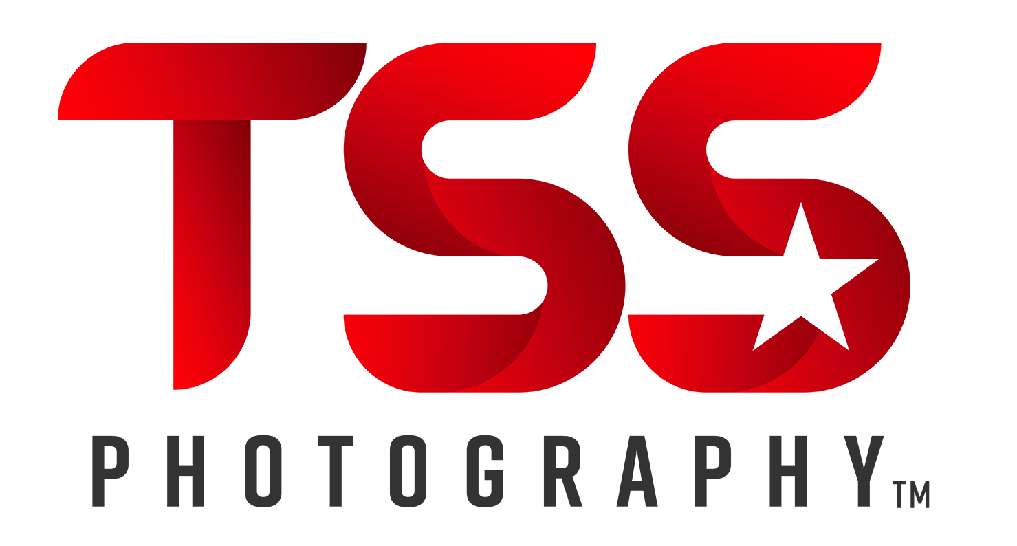 Entry #9 by maromi8 for Design a Logo for TSS | Freelancer